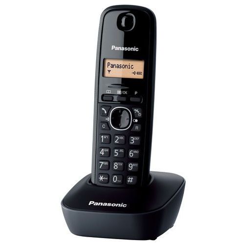 Panasonic KX-TG1381PD Cordless Phone