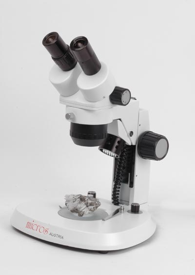 MICROS Bee Micro Stereo 1107 Stereo Microscope
