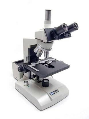 Meiji Techno ML5955 Biological Microscope