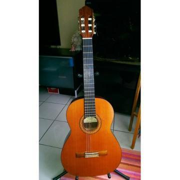 Antonio Sanchez 1020 Guitar