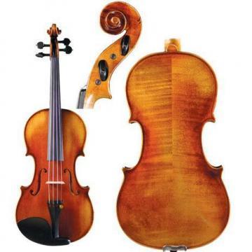 Franz Sandner FS850 Strad Violin