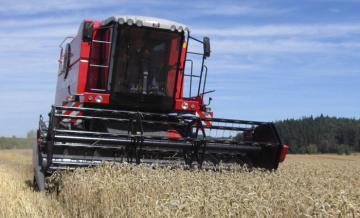 Massey Ferguson ACTIVA 7240 harvesting combine
