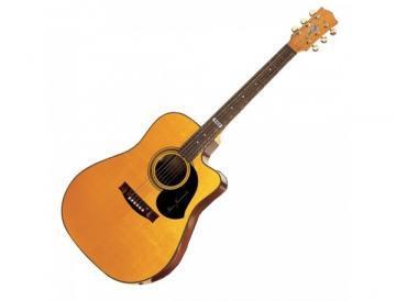 Maton TE 1 acoustic guitar