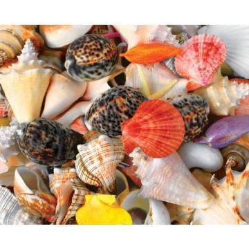 Springbok Seashells 1500 Piece Puzzles