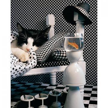 Springbok Checkerboard Cat 1000 Piece Puzzles