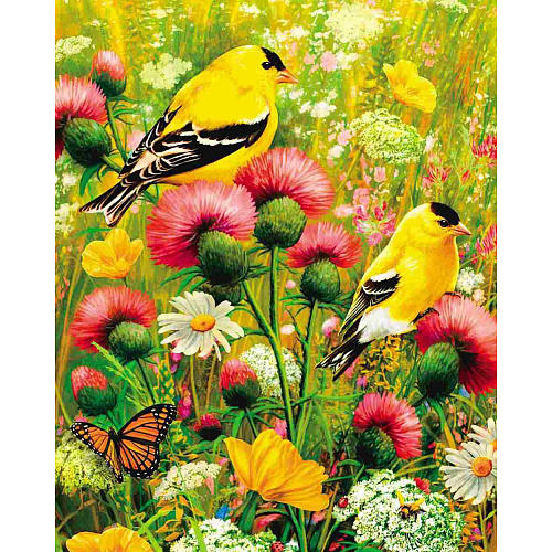 Springbok Goldfinch 350 Piece Puzzles