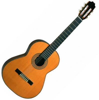 Admira Teresa Handcrafted guitar