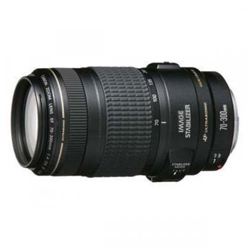 Canon EF 70-300 Lens