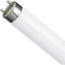 Fluorescent Bulbs and Tubes