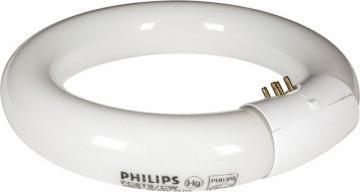 Philips Fluorescent Bulb 20W T9 Circline 4100K 62 CRI