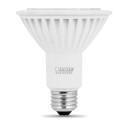 LED Bulbs (E26)