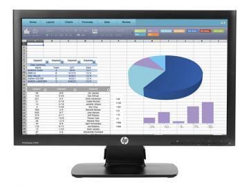 HP Business P202 20" LED LCD Monitor