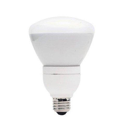 GE 16W R30 Screw-In Fluorescent Light Bulb