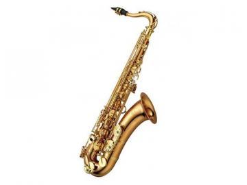 Yanagisawa A-WO2 Alto Saxophone
