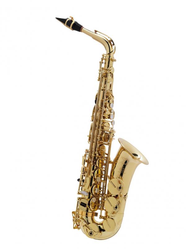 Selmer Paris Professional Model Axos Alto Saxophone