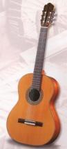 Antonio Sanchez 3050 Electro Acoustic Classical Guitar