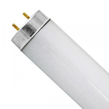 GE 48" 34W Linear Fluorescent Lamp, T12, Medium Bi-Pin (G13), 1750 lm, 6500K