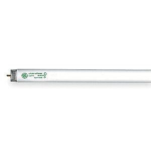 GE 48" 32W Linear Fluorescent Lamp, T8, Medium Bi-Pin (G13), 2850 lm, 4100K