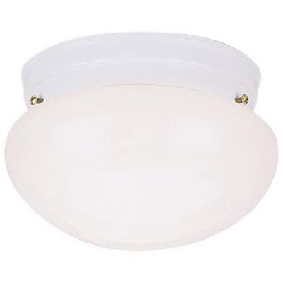 Westinghouse 8-Inch Ceiling Light Fixture