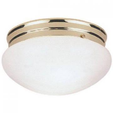 Westinghouse Westinghouse 9-1/2-Inch Ceiling Light Fixture