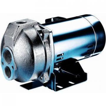 Master Plumber Convertible Jet Pump, 1-HP Motor, 115/230V, 12.9-GPM