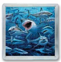 Cheatwell 3D Magna Sharks Puzzle