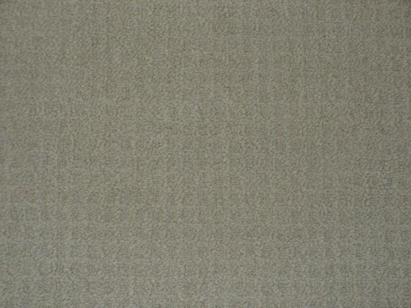 Beaulieu Birchmount Carpet