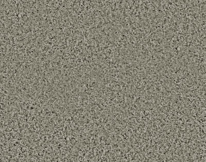 Beaulieu Pleasing II - Quarry Carpet
