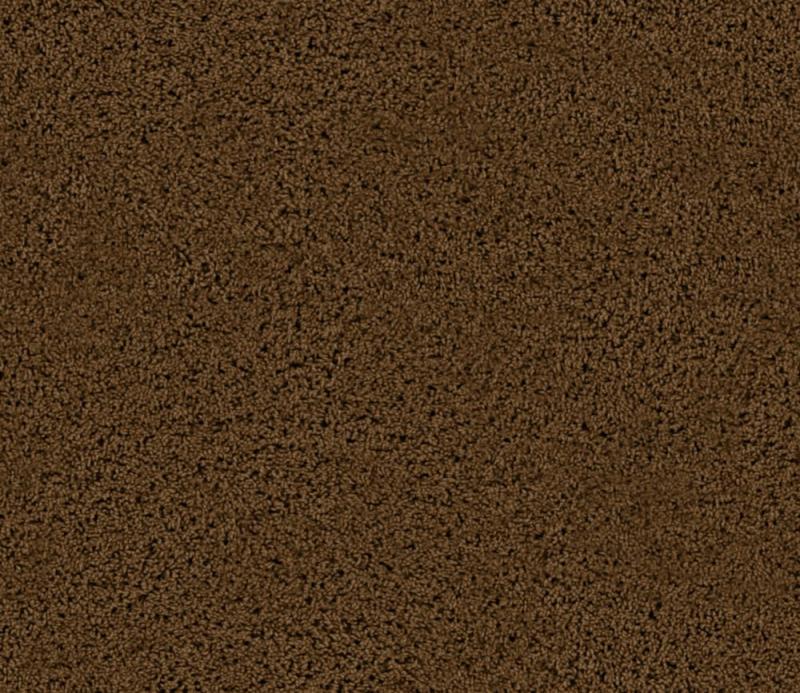 Beaulieu Enticing I - Antique Brown Carpet