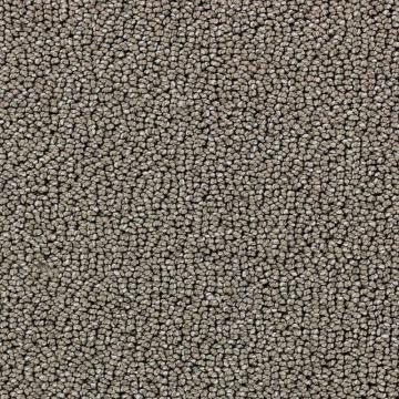 Beaulieu Leyton - Gooseneck Carpet