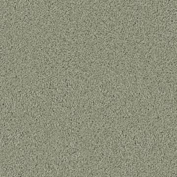 Beaulieu Fetching II - Quarry Carpet
