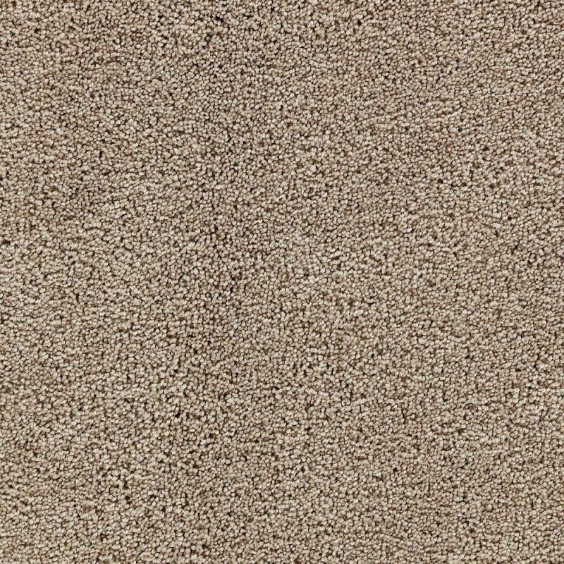 Beaulieu Chelwood - Polished Carpet