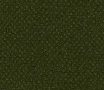 Beaulieu Inspiring II - Marsh Carpet