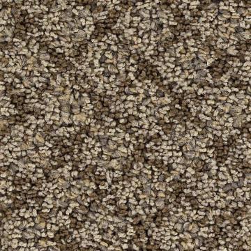Beaulieu Interlace - Design Carpet