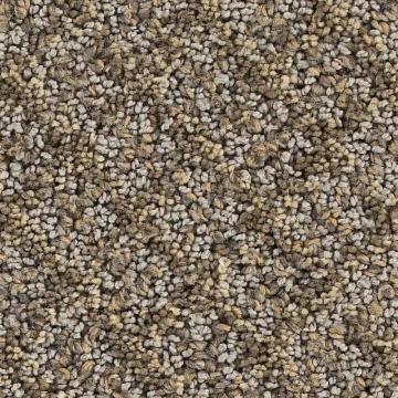 Beaulieu Interlace - Compose Carpet