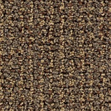 Beaulieu Polarity - Hammered Carpet