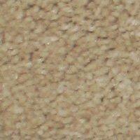 Beaulieu Aura - Sheen Carpet