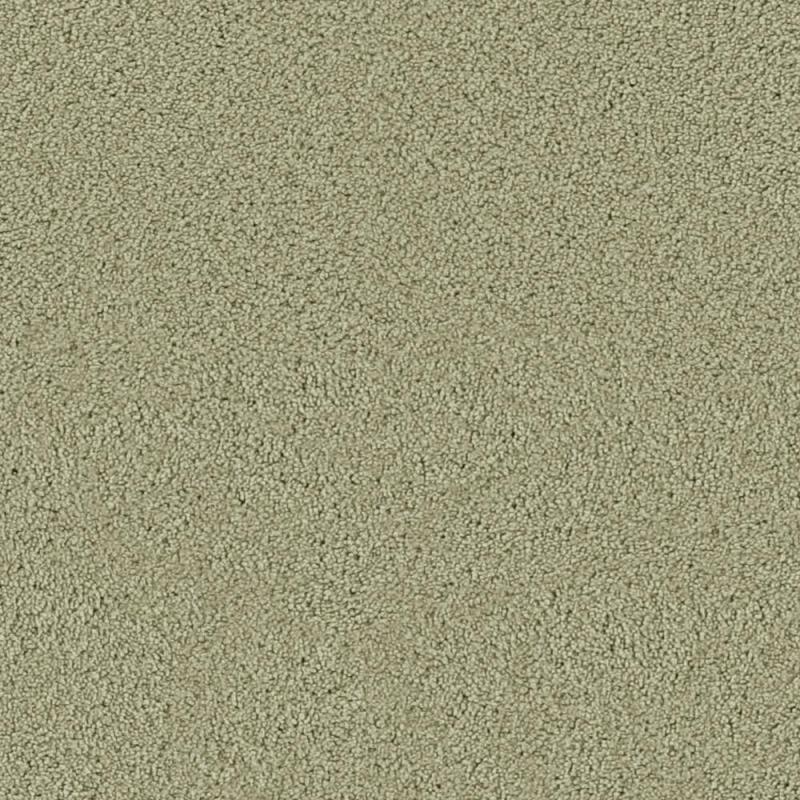 Beaulieu Fetching II - Soft Sage Carpet