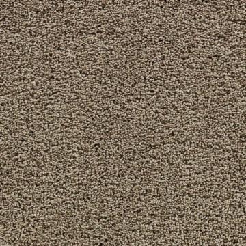 Beaulieu Hobson - Warmth Carpet