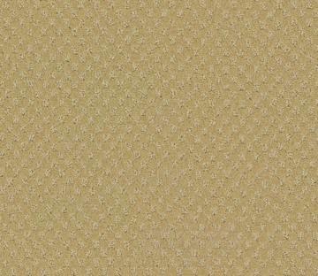 Beaulieu Inspiring II - Khaki Carpet