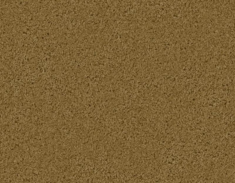 Beaulieu Enticing II - Pecan Shell Carpet