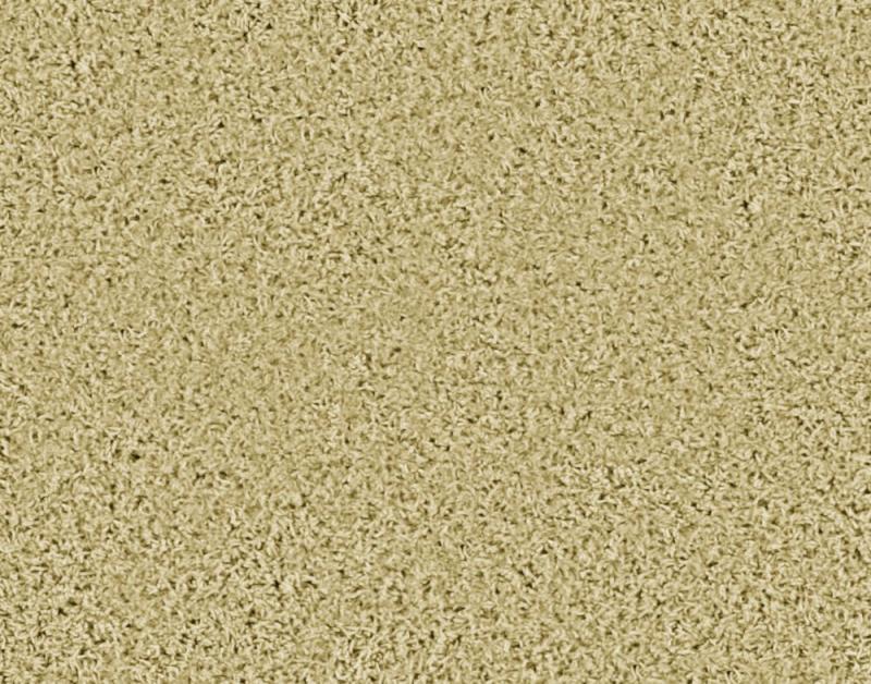 Beaulieu Pleasing II - Sandstorm Carpet