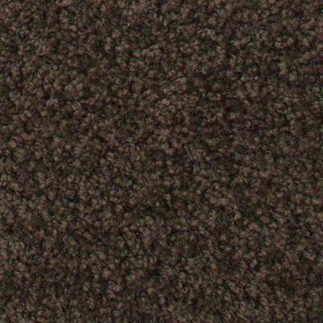 Beaulieu Fleetwood - Beech Carpet