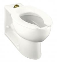 Kohler Anglesey Elongated Toilet Bowl Only in White