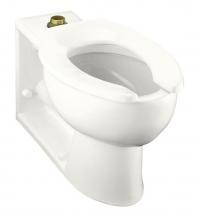 Kohler Anglesey Elongated Toilet Bowl Only with Rear Spud in White