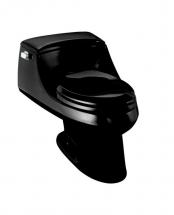 Kohler San Raphael 1-piece 1.6 GPF Single Flush Elongated Bowl Toilet in Black