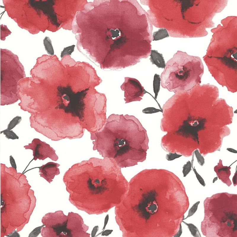 Graham & Brown Poppies Red/Cream Wallpaper