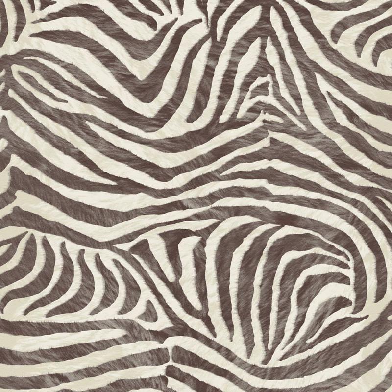 Graham & Brown Zebra Brown/Beige Wallpaper