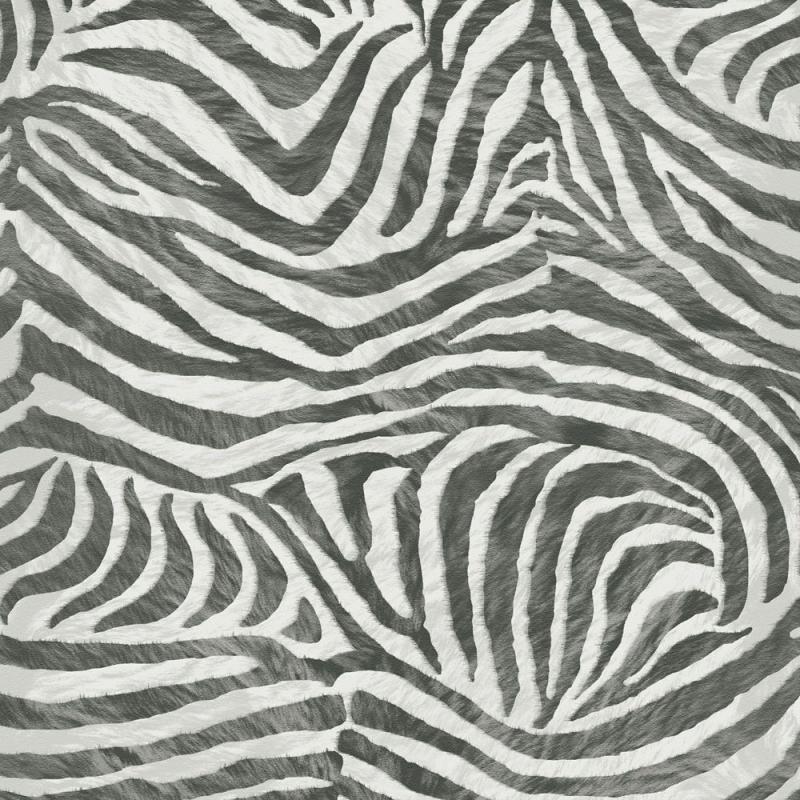Graham & Brown Zebra Black/White Wallpaper