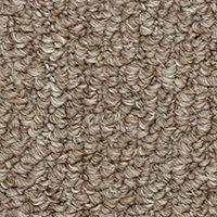 Beaulieu Entrancing - Bistre Brown Carpet - Per Sq. Feet